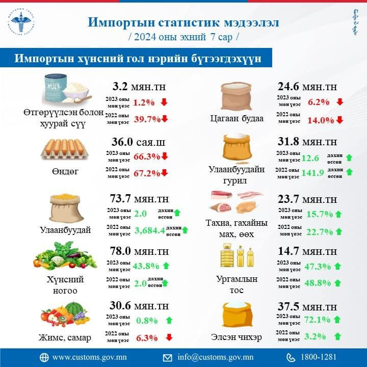 ГЕГ-аас гаргасан импортын статистик мэдээ