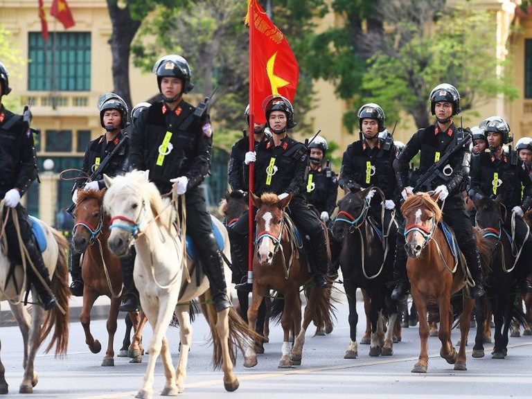 Монгол морьд Вьетнамд албан үүргээ нэр төртэй гүйцэтгэж байна