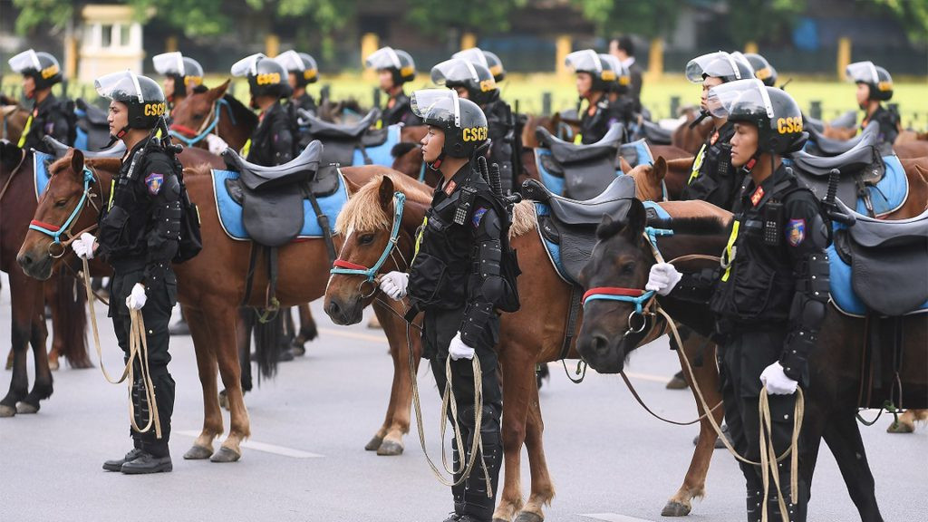 Монгол морьд Вьетнамд албан үүргээ нэр төртэй гүйцэтгэж байна