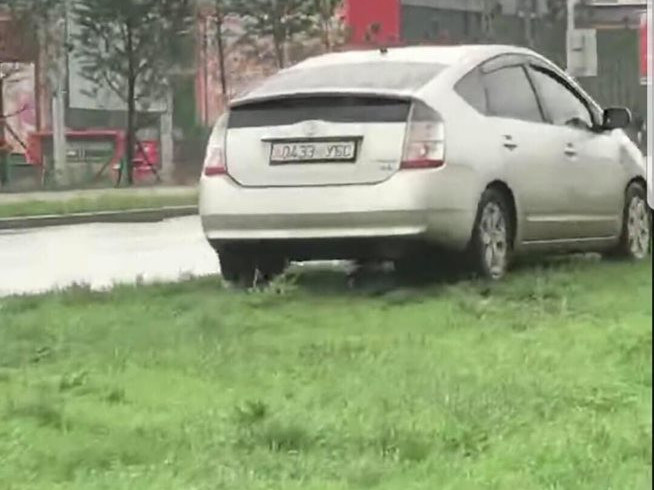 ВИДЕО: “Хүннү молл”-ын урд замын ногоон байгууламж дээгүүр автомашинтай зорчжээ