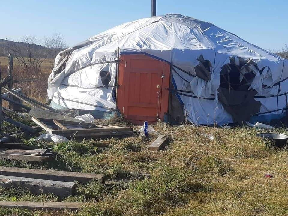 Сэлэнгэ аймгийн Ерөө сумын айлд баавгай орсон тохиолдол дахин гарчээ