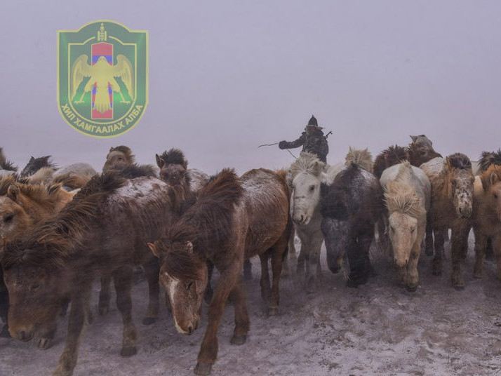 ФОТО: Хилчид цасан шуурганд уруудан, хил давах шахсан 1000 гаруй малыг эздэд нь хүлээлгэн өгчээ