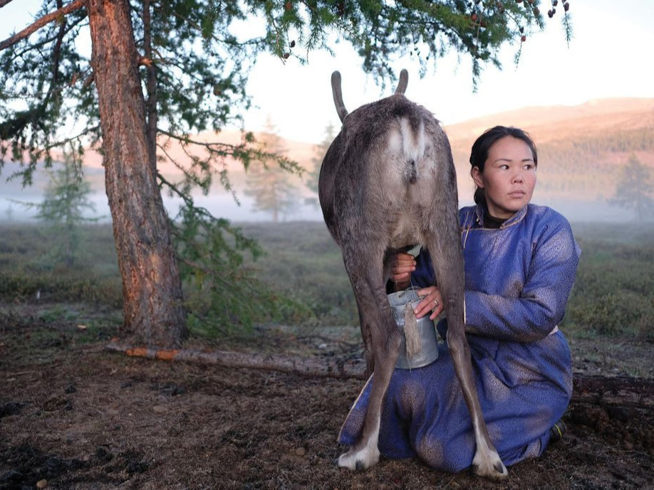 БИДНИЙ ТУХАЙ: Монгол хүний эко системийг мэдэж чадвал, Дэлхийн олон сая хүн “Сүү”-ээр илчлэгээ нөхөх боломжтой