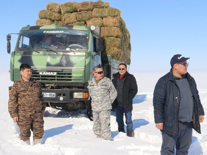 Увс аймгийн хэмжээнд хаваржилт хүндрээд байна