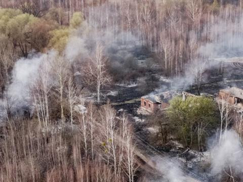 Бороо орж Чернобылын ойролцоо гарсан түймэр унтарчээ