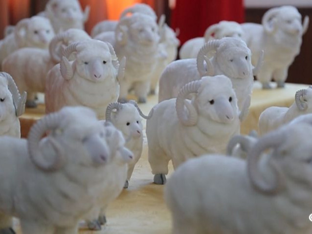 30 мянган хонийг хандивлаж буй баримтат киноны зураг авалтын нээлт боллоо 