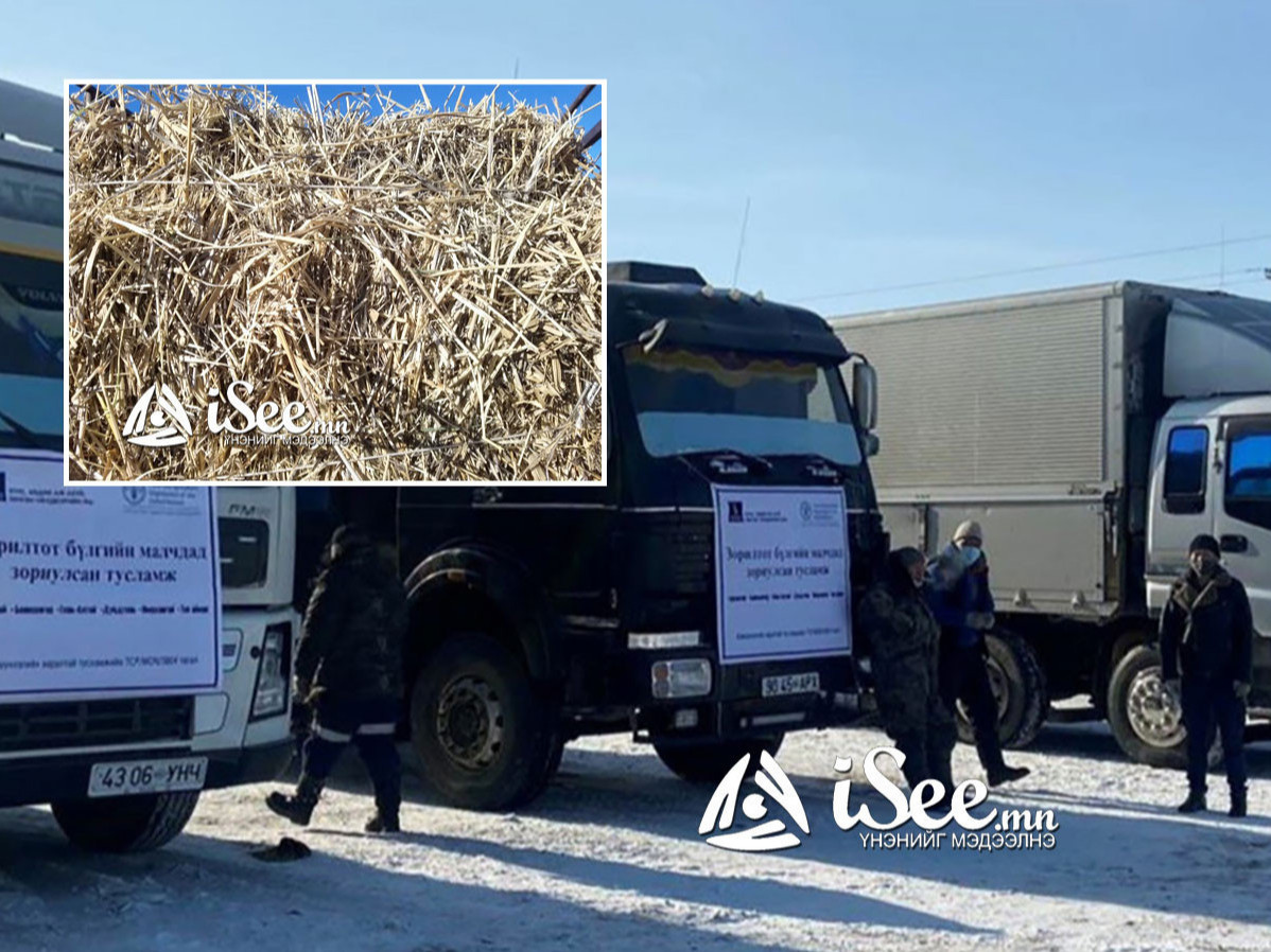 Тусламжийн өвс малчдад очиж буй эсэхийг аппликэйшнээр хянана