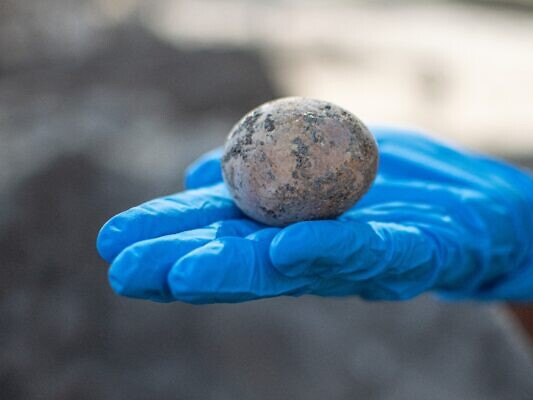 Археологичид 1000 жилийн настай тахианы өндөг илрүүлжээ