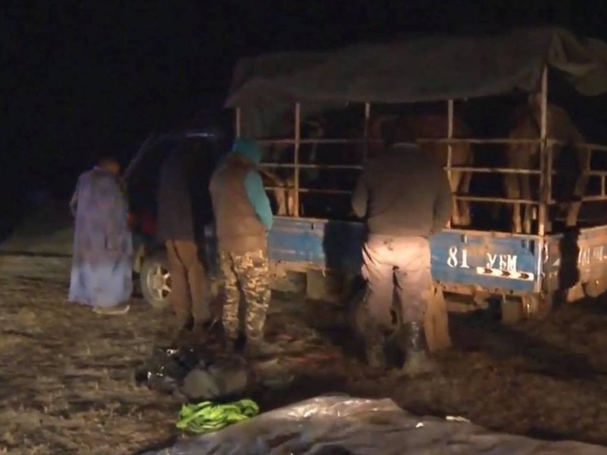 ВИДЕО: Олон удаагийн үйлдэлтэй малын хулгайчдыг үйлдэл дээр нь баривчлав