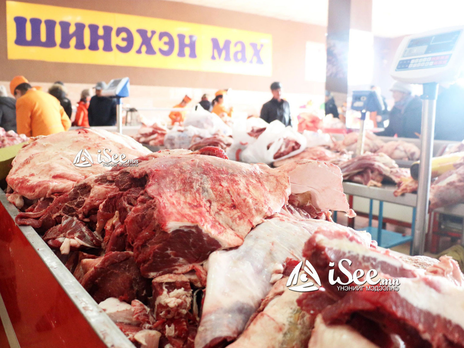 "Хүчит Шонхор" захын ченжүүдээс татвар авч, махны экспог дүүрэг бүрт явуулна 
