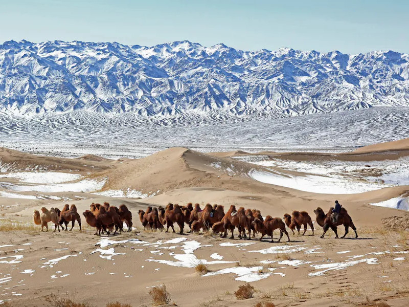 БИДНИЙ ТУХАЙ: Монголчуудын ковид цар тахалтай тэмцэж байгаа стратегийг олон улсад сайшаажээ