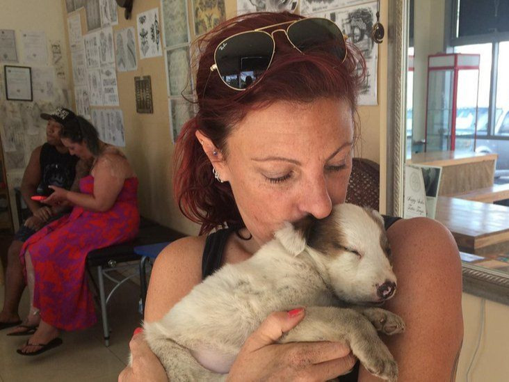 Нохойгоо аврах гэж байгаад цунамид өртөж, амиа алдсан эмэгтэйн цогцсыг олжээ