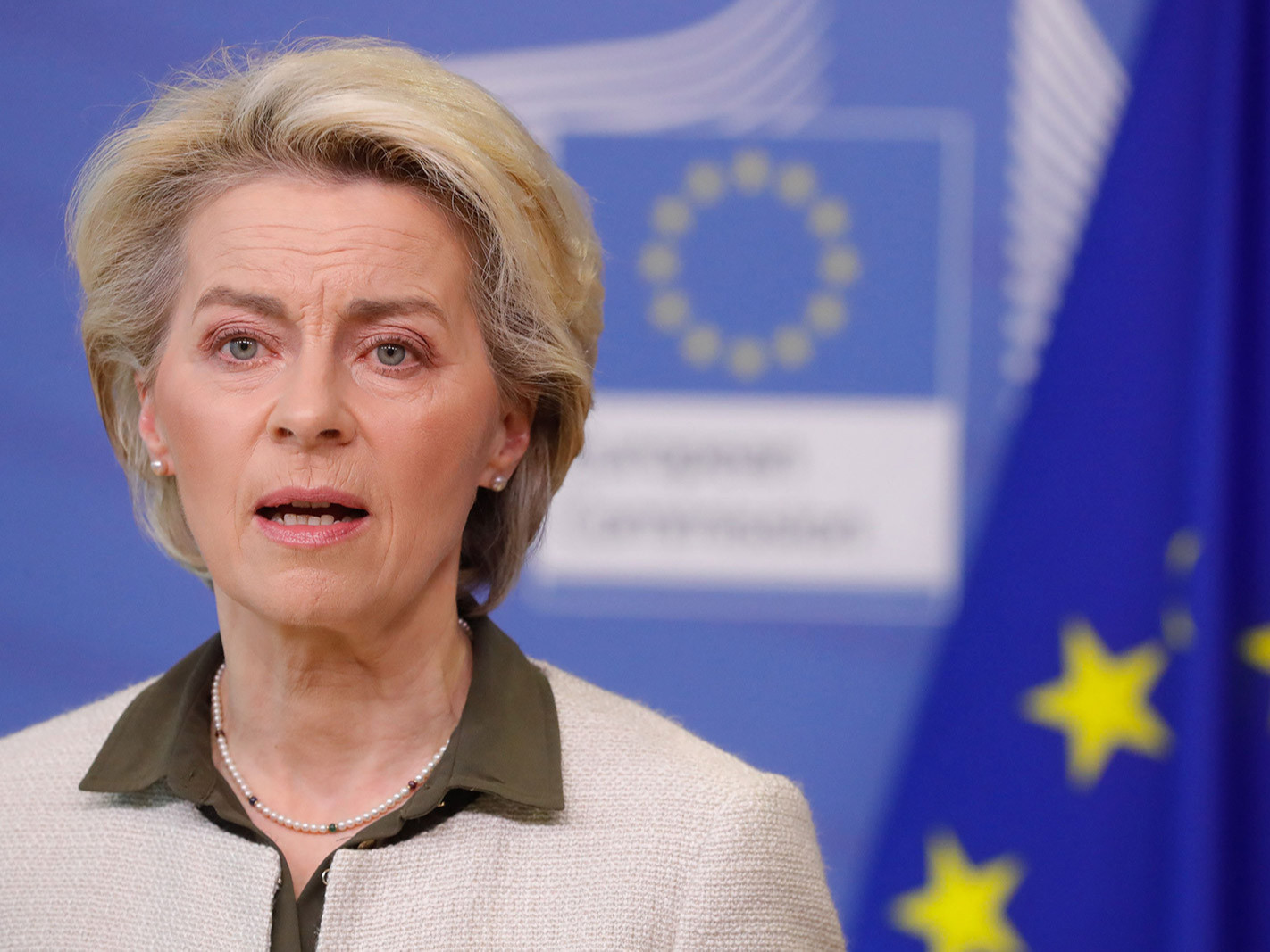 Украиныг Европын холбоонд нэгтгэхийг хүсэж байна гэж мэдэгдэв