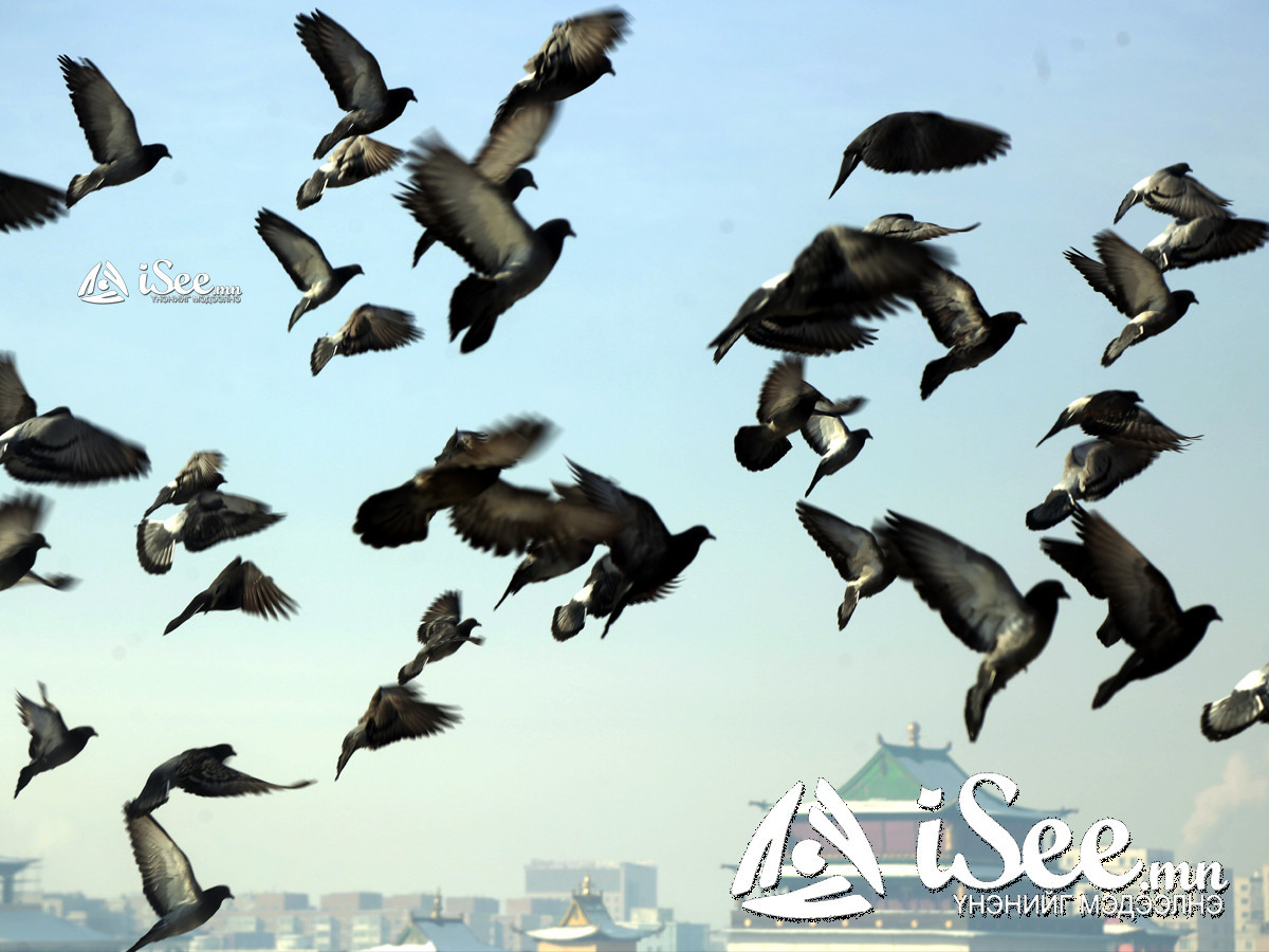 Өнөөдөр бар өдөр