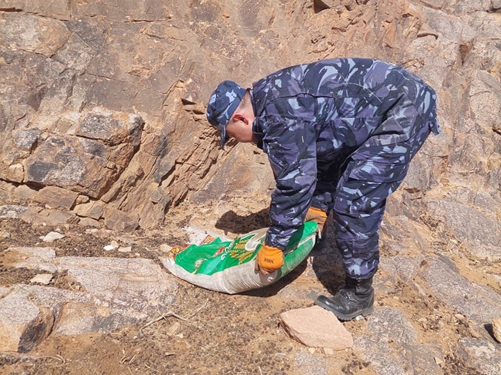 Сайнцагаан сумын Засаг дарга өөрийн хөрөнгөөр, зэрлэг амьтад өвс, тэжээл тавьж өгчээ