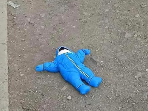 Н.Хөхөө: Налайх дүүрэгт гудамжинд хаягдсан нярай хөхүүл учраас угжинд дасаагүй нь санаа зовоож байна