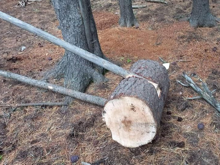 Богдхан уулын тусгай хамгаалалтын бүсэд зөвшөөрөлгүй самар түүсэн иргэдийг албадан буулгажээ