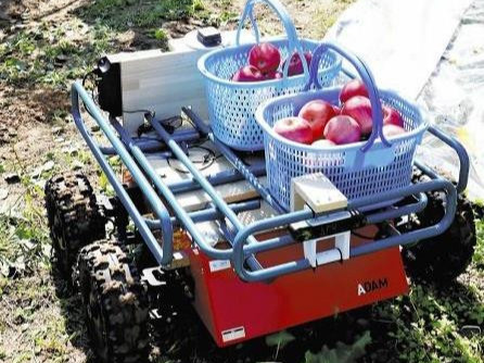ВИДЕО: Японы Кайша компани тариаланчдад зориулан ургац хураадаг хиймэл оюун ухаант робот зохион бүтээжээ