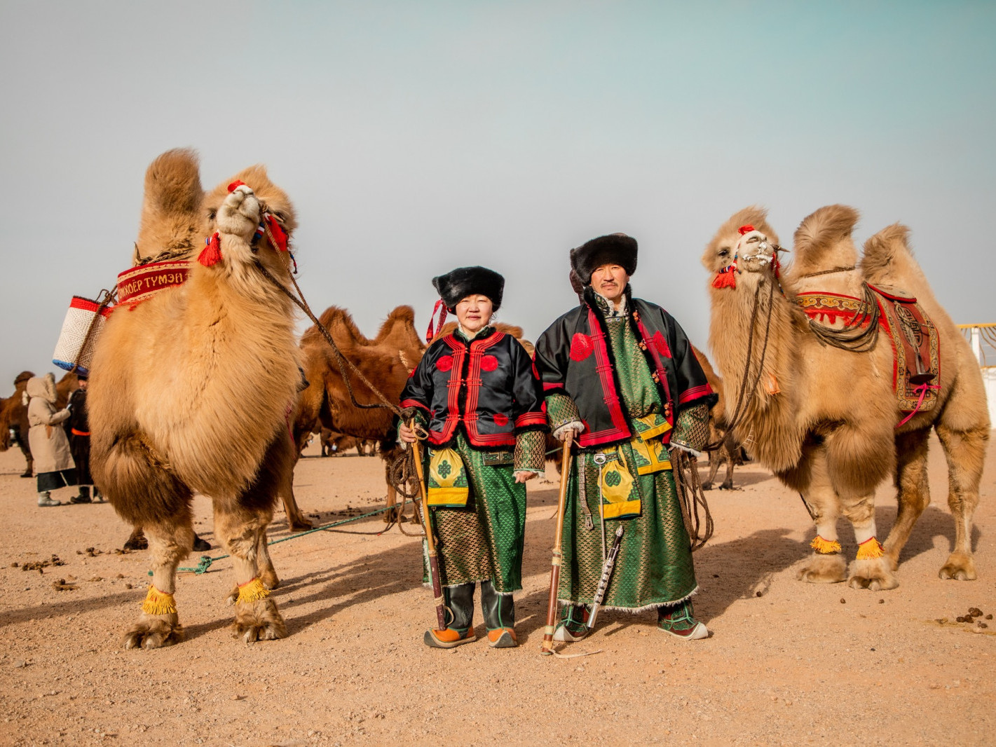 ФОТО: "Галбын говийн улаан тэмээний баяр" Өмнөговь аймгийн Ханбогд суманд боллоо