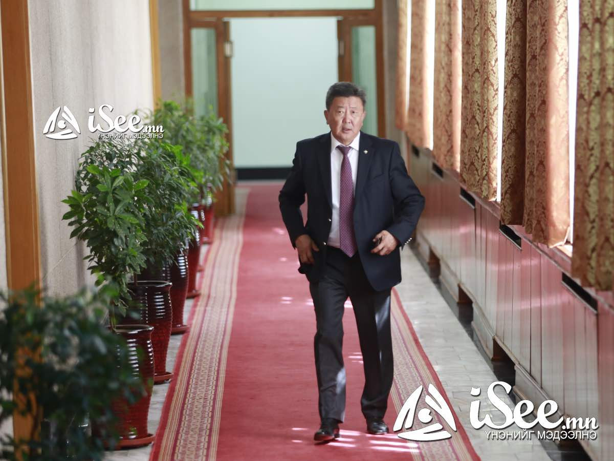 УИХ-ын сонгууль, Улс төрийн намын хуулийг батлахын тулд Н.Энхболдыг байнгын хорооны даргаар томилжээ