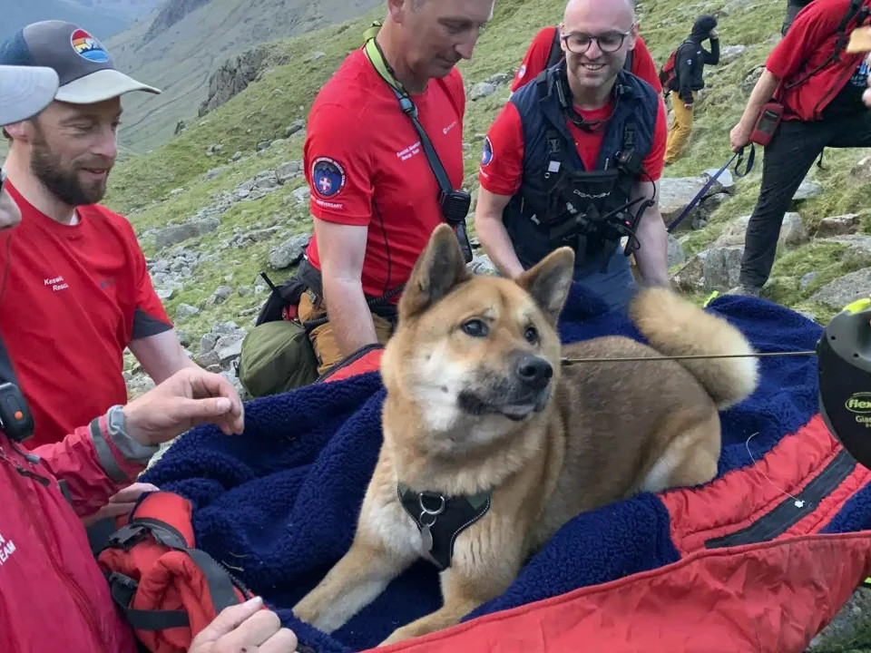 Keswick уулын аврах баг Английн хамгийн өндөр ууланд төөрч “гэмтэж, ядарсан” нохойг аварчээ