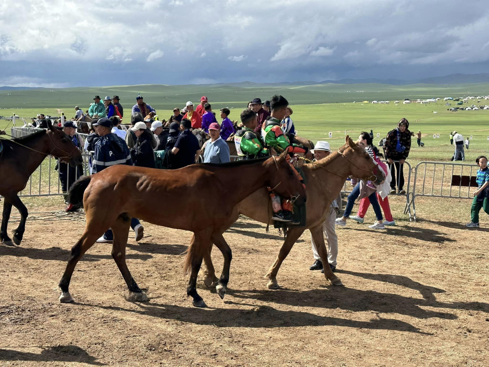 НААДАМ 2023: Хөвсгөл аймгийн Галт сумын уугуул Бүдийн Отгонсэлэнгийн саарал Их нас ТҮРҮҮЛЛЭЭ