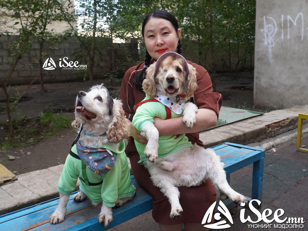 Р.Болормаа: Хүнд зодуулж нүдгүй болсон нохойг авах хүн олдохгүй учир өрөвдөж үлдсэн амьдралд нь жаргалтай байлгахаар үрчилж авсан /ВИДЕО/