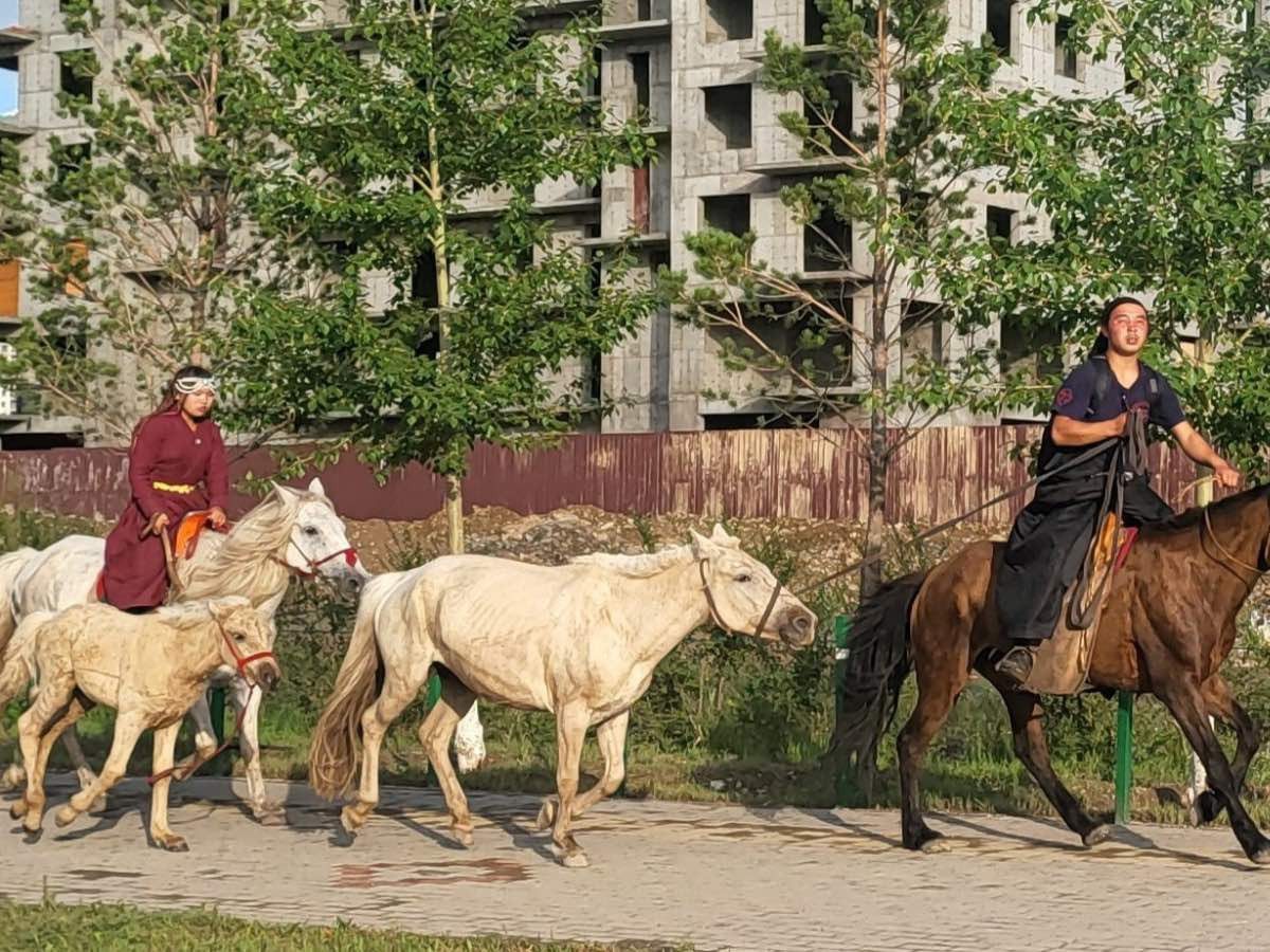 ФОТО: Наадмын нээлтэд оролцон унагатай гүү, өвдөг шороодсон бөхчүүдийн гуниг, "Түмний хар үрээ"-ний эзэн Э.Улаанхүү нарын гэрэл зураг нийтлэгджээ