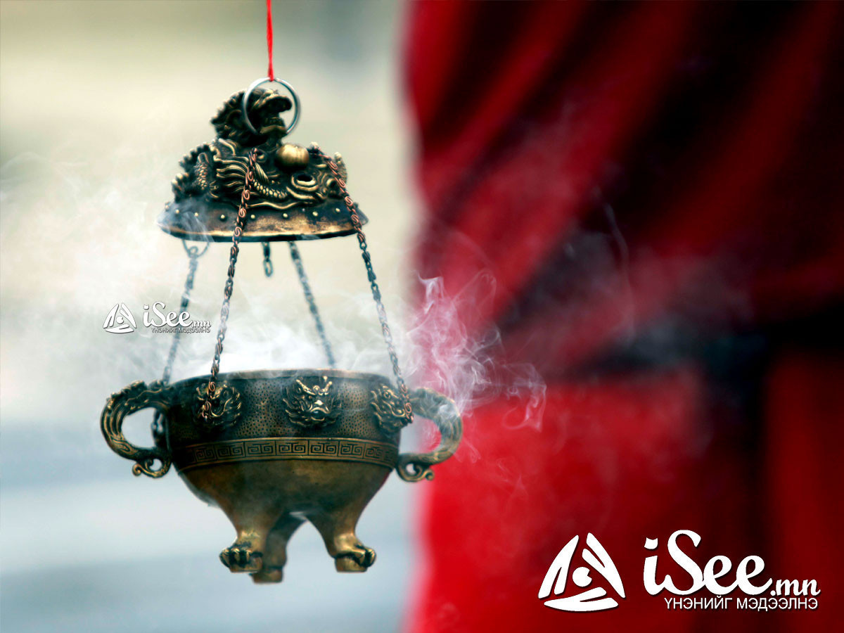 Өнөөдөр нохой өдөр