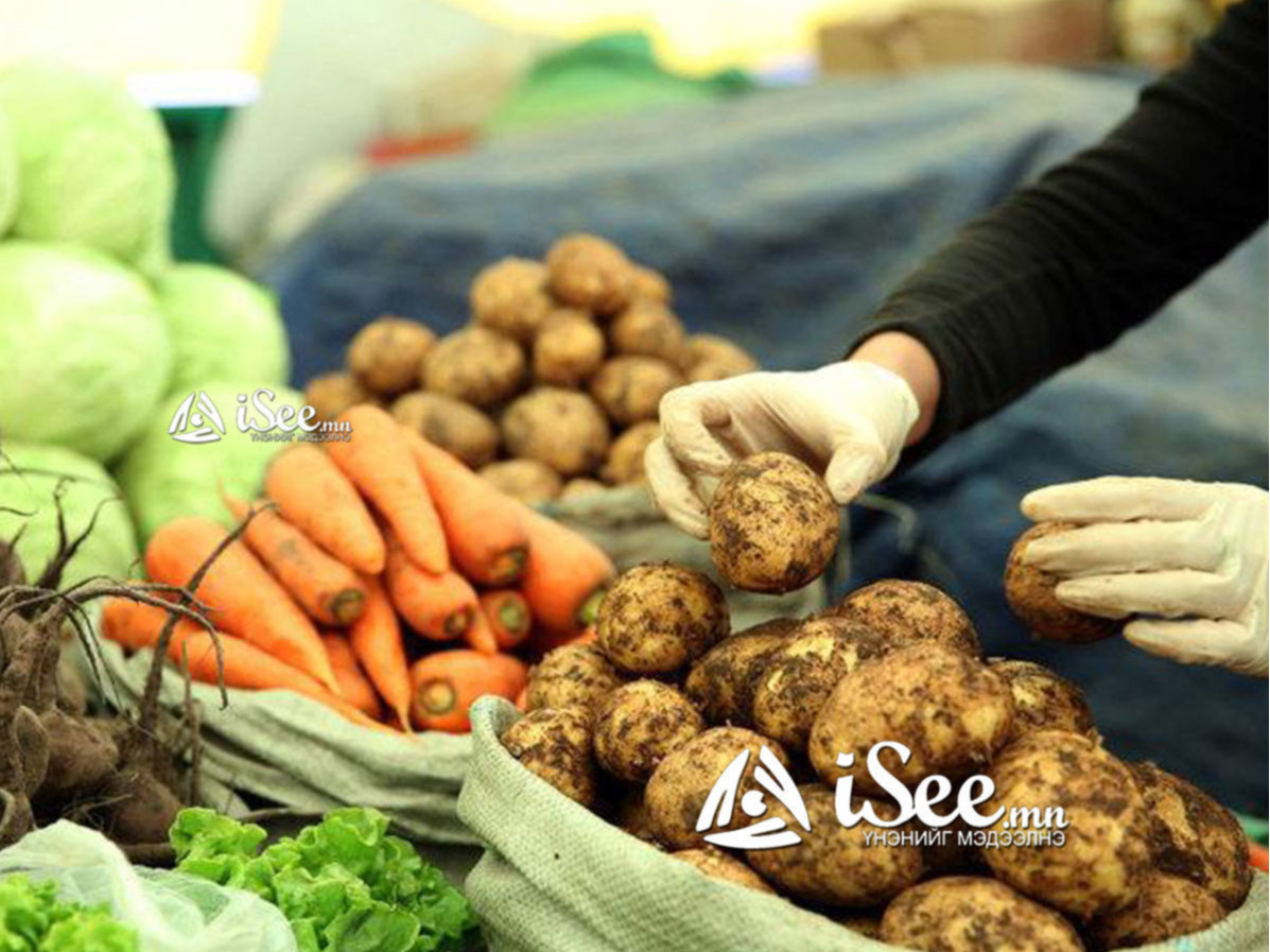"Алтан намар 2023" хүнсний ногооны өргөтгөсөн худалдаа Нийслэлийн 31 байршилд болж байна 