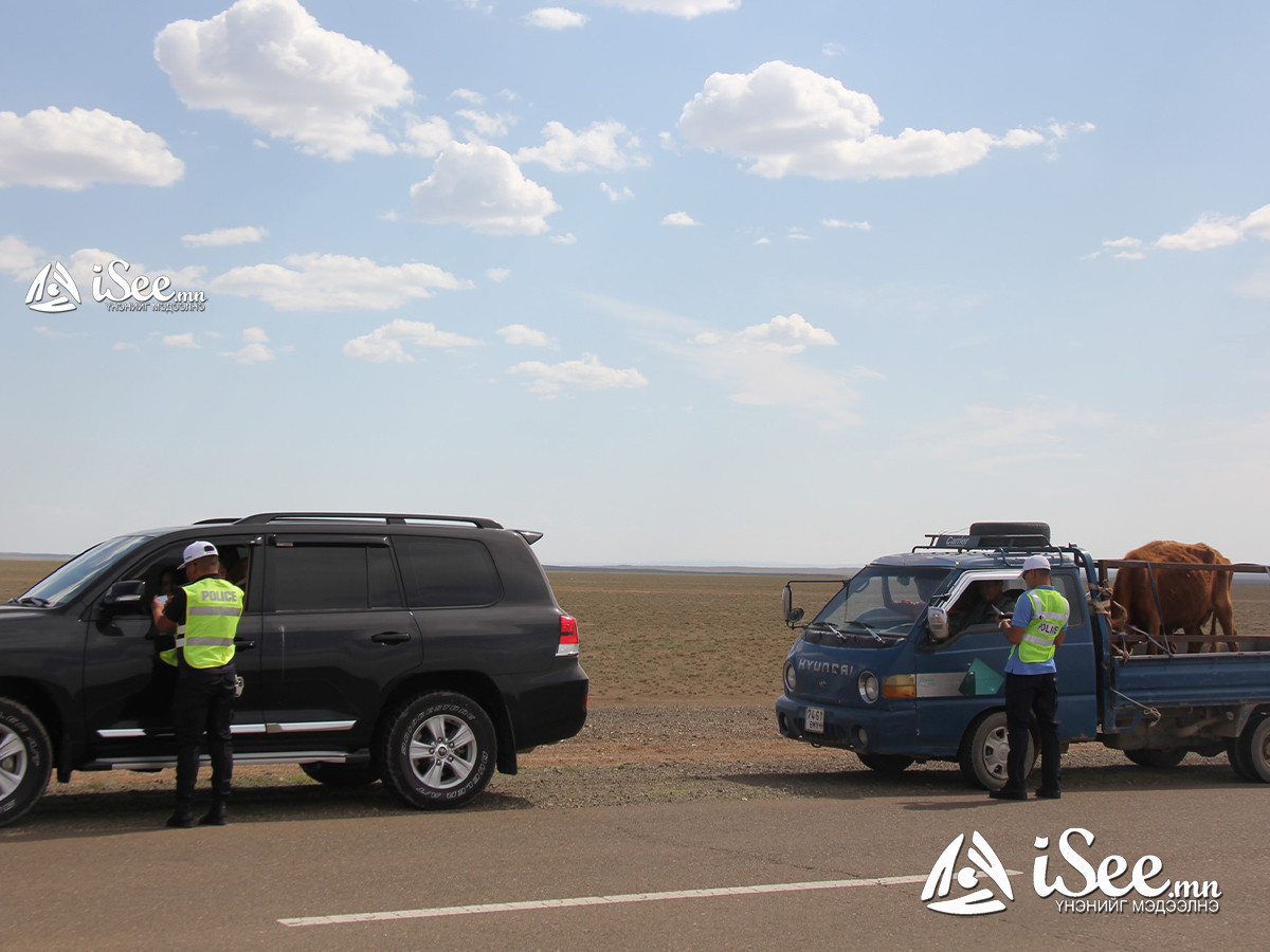 Улаанбаатар хот руу 38 ширхэг нойтон тарвага тээвэрлэж нэвтрүүлэхийг завджээ