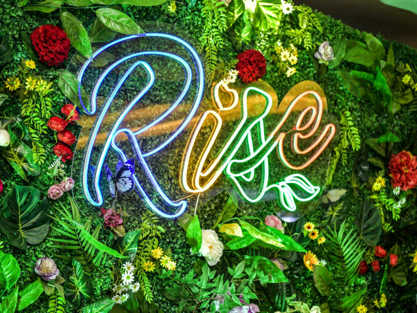 Шинэ оюутны хөгжлийн “Rise” хөтөлбөр нээлтээ хийлээ