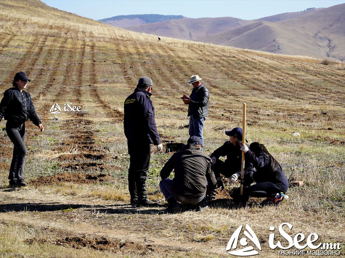 ВИДЕО: Сонгинохайрхан дүүргийн Эрүү, Иргэний хэргийн шүүхийнхэн гучин жилийн ойн хүрээнд хогийн цэг байсан газарт мод тарилаа