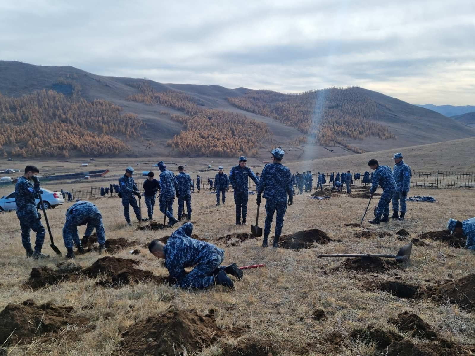 Сонсогч, суралцагчид Гүнжийн хоолойд 10 мянга 650 ширхэг навчит мод тарьжээ 