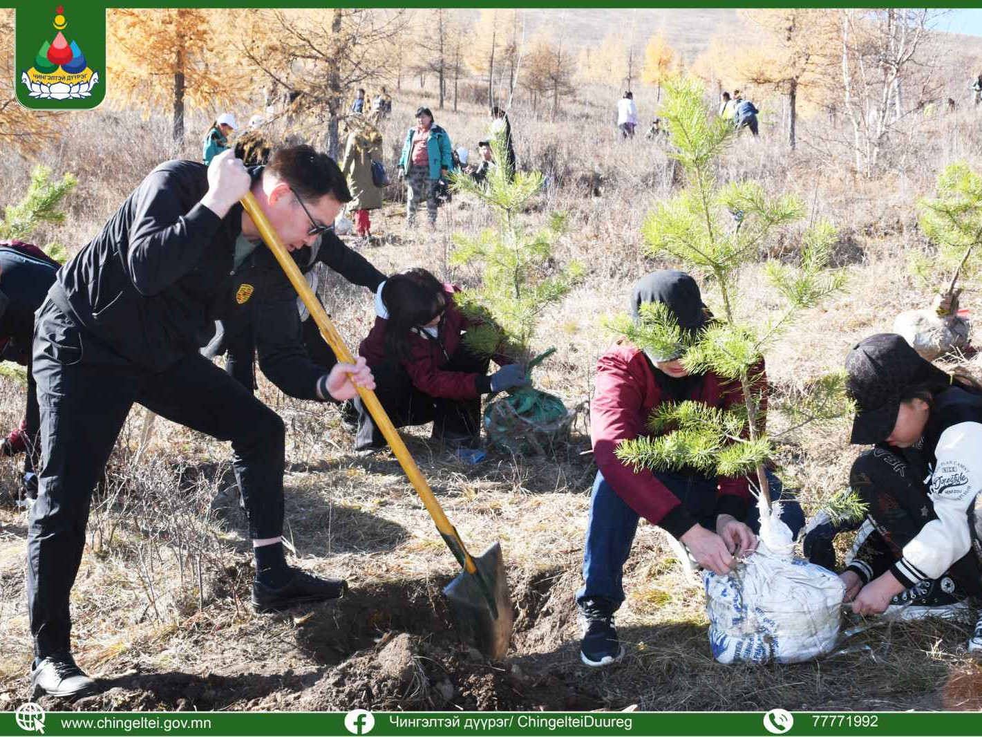 “НОГООН ХОТ – ИРГЭНИЙ ОРОЛЦОО” намрын мод тарих аянд нэгдлээ