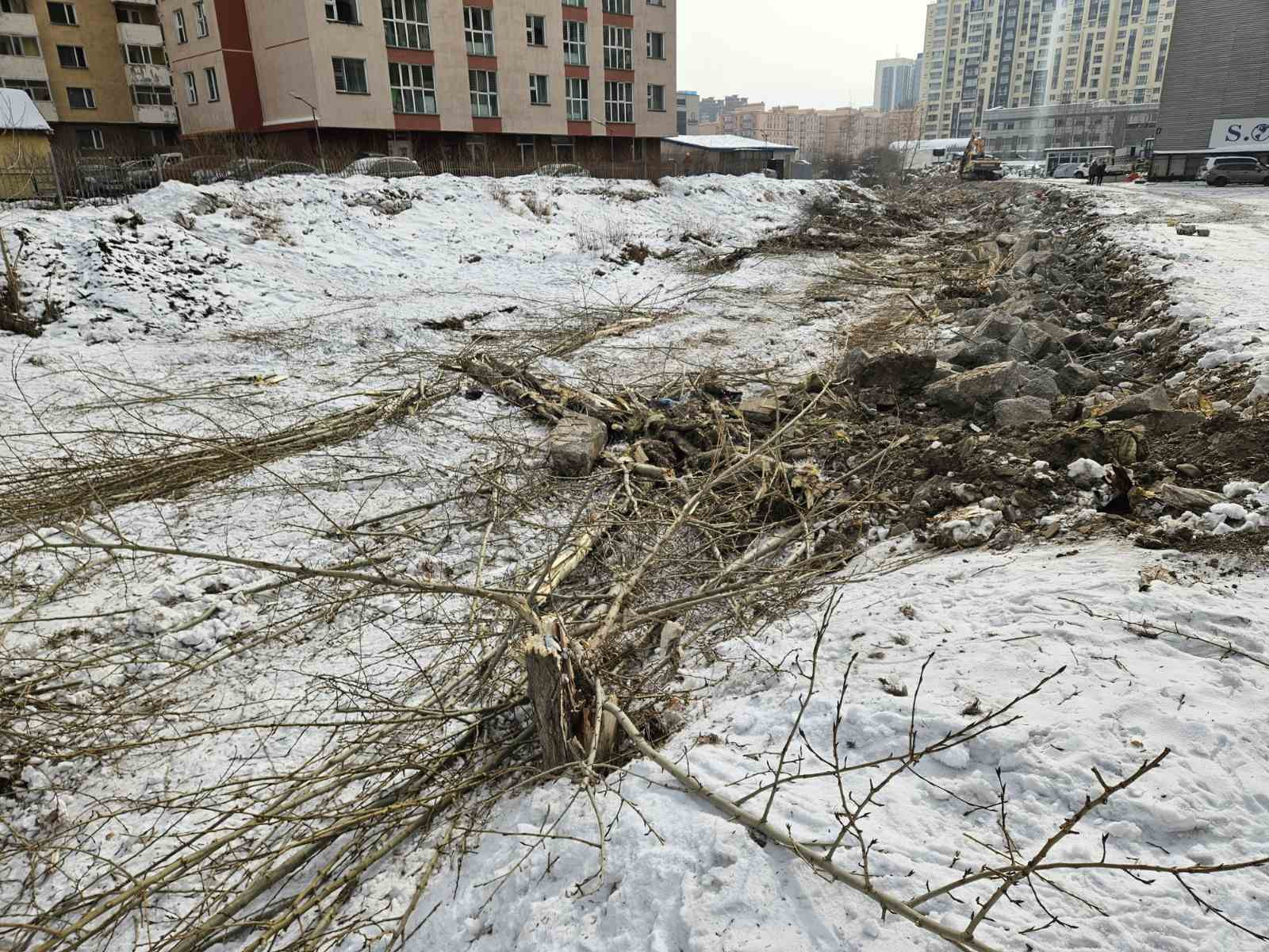 ВИДЕО: "S Outlet” дэлгүүрийг нураах нэрийдлээр ойр орчмын моддыг тайрч байсныг Экологийн цагдаагийн албанаас шалгаж эхэлжээ