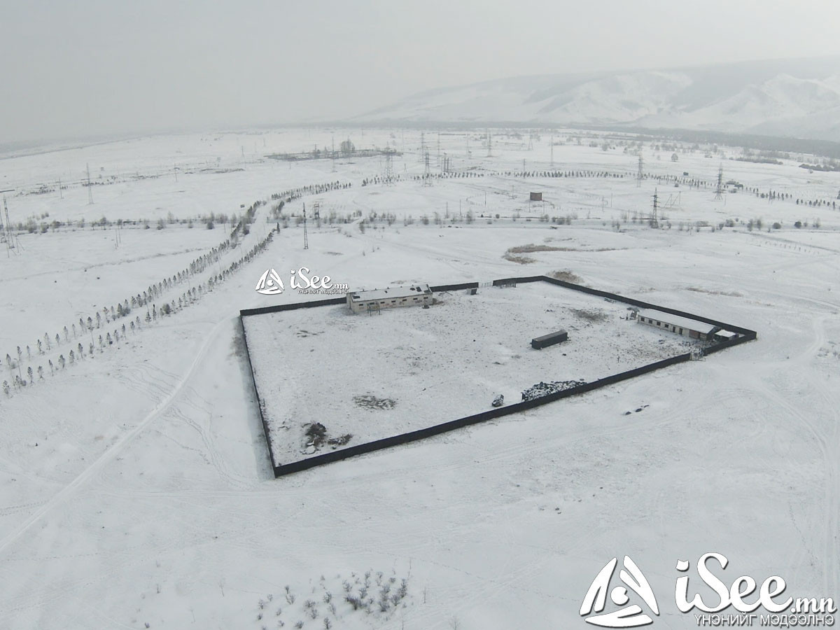 ҮЦХ: Цэцэрлэгт хүрээлэнд орж ирсэн адууг түр хашиж, эздэд нь хүлээлгэж өгдөг