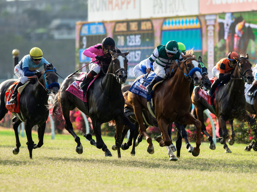 Монголд анх удаа морин тойруулгын уралдаан болно