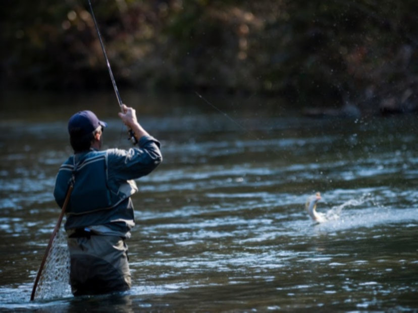 Дөрөвдүгээр сарын 1-нээс эхлэн хоёр сар гаруйн хугацаанд загас агнахыг хориглолоо