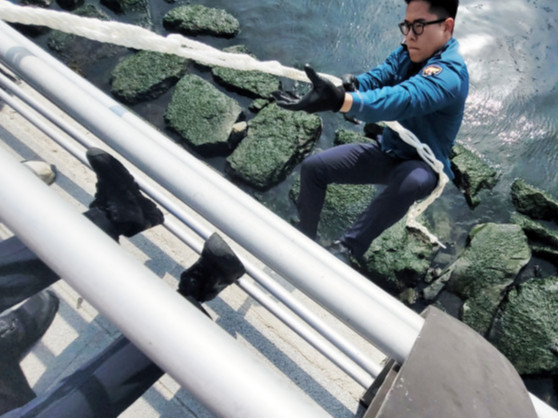 ШУУРХАЙ: БНСУ-д аялж яваад далайд унасан монгол эмэгтэйг тус улсын цагдаагийн ажилчид аварчээ