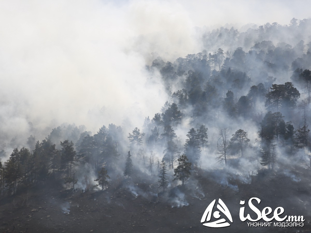 Он гарсаар ой, хээрийн түймэрт 504.913 га талбай өртжээ