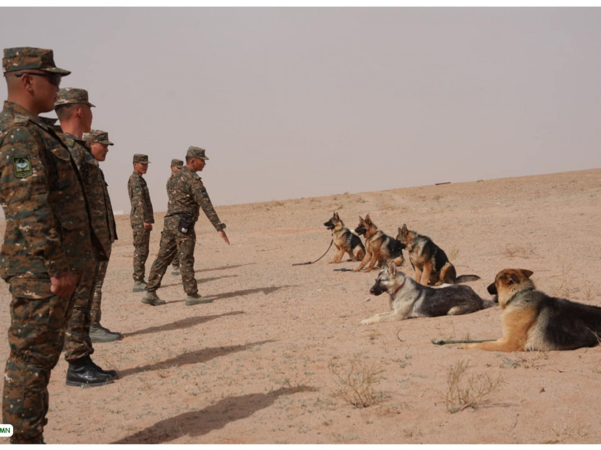 Хил хамгаалах байгууллагын албаны нохойн анхан шатны сургалтаа амжилттай төгссөн нохдод батламж олголоо