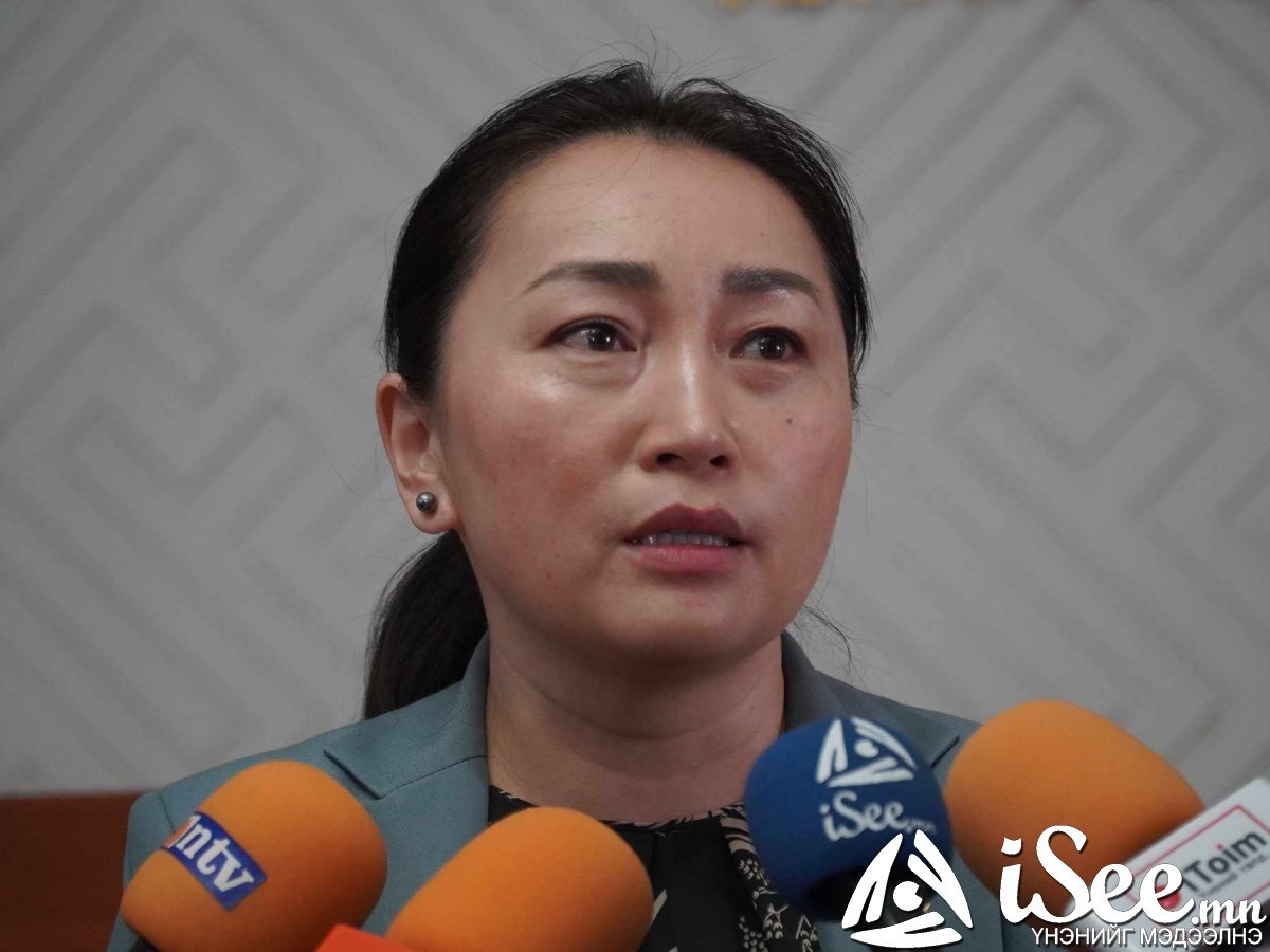 Х.Булгантуяа: Ерөнхий сайд тайлбараа хий, намын дүрмээрээ бид хариуцлага тооцох ёстой
