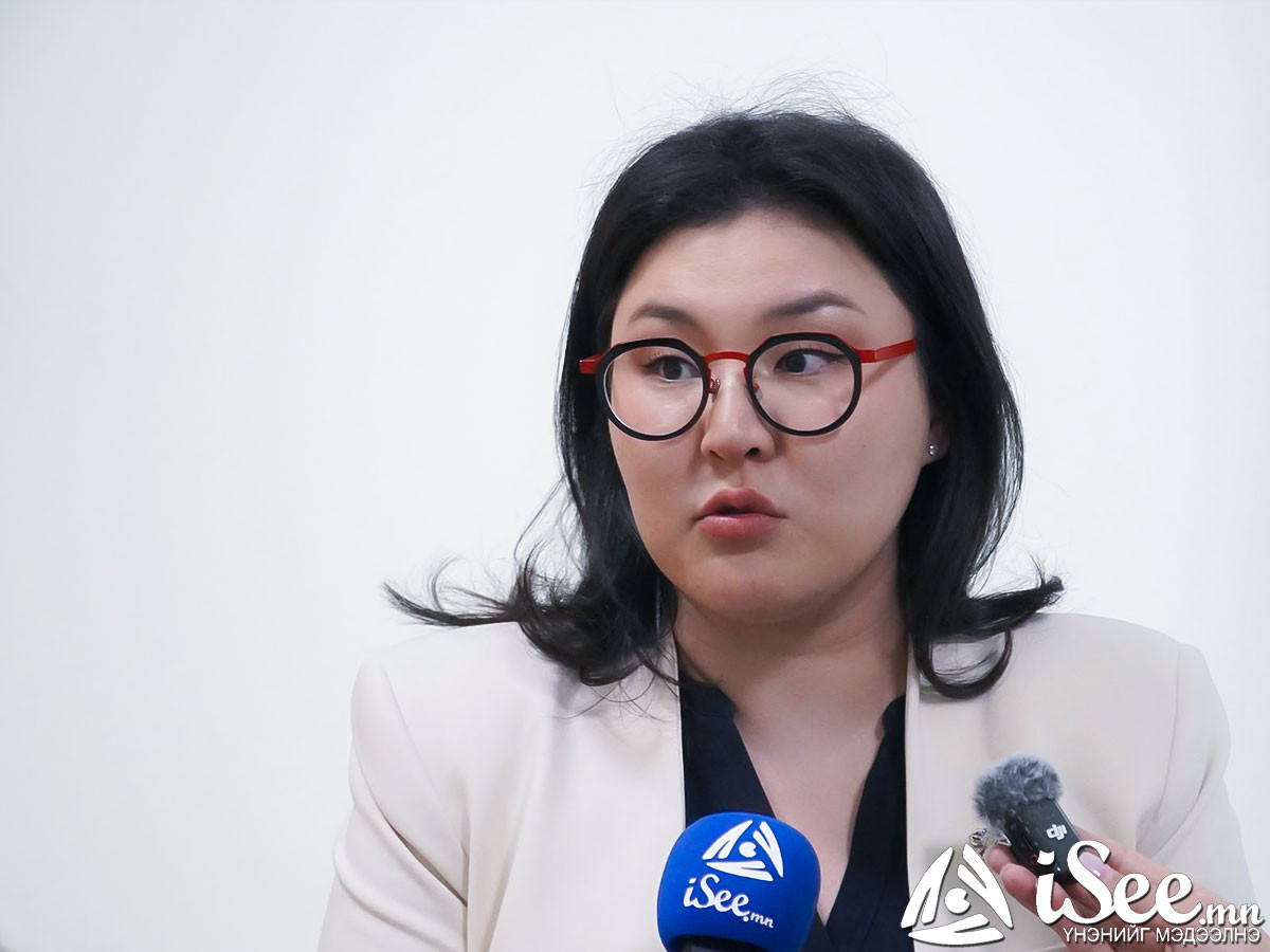 Э.Болормаа: Ерөнхий сайдын хувь хүний асуудал Засаглалын хямрал авчирсан гэж бодохгүй байна