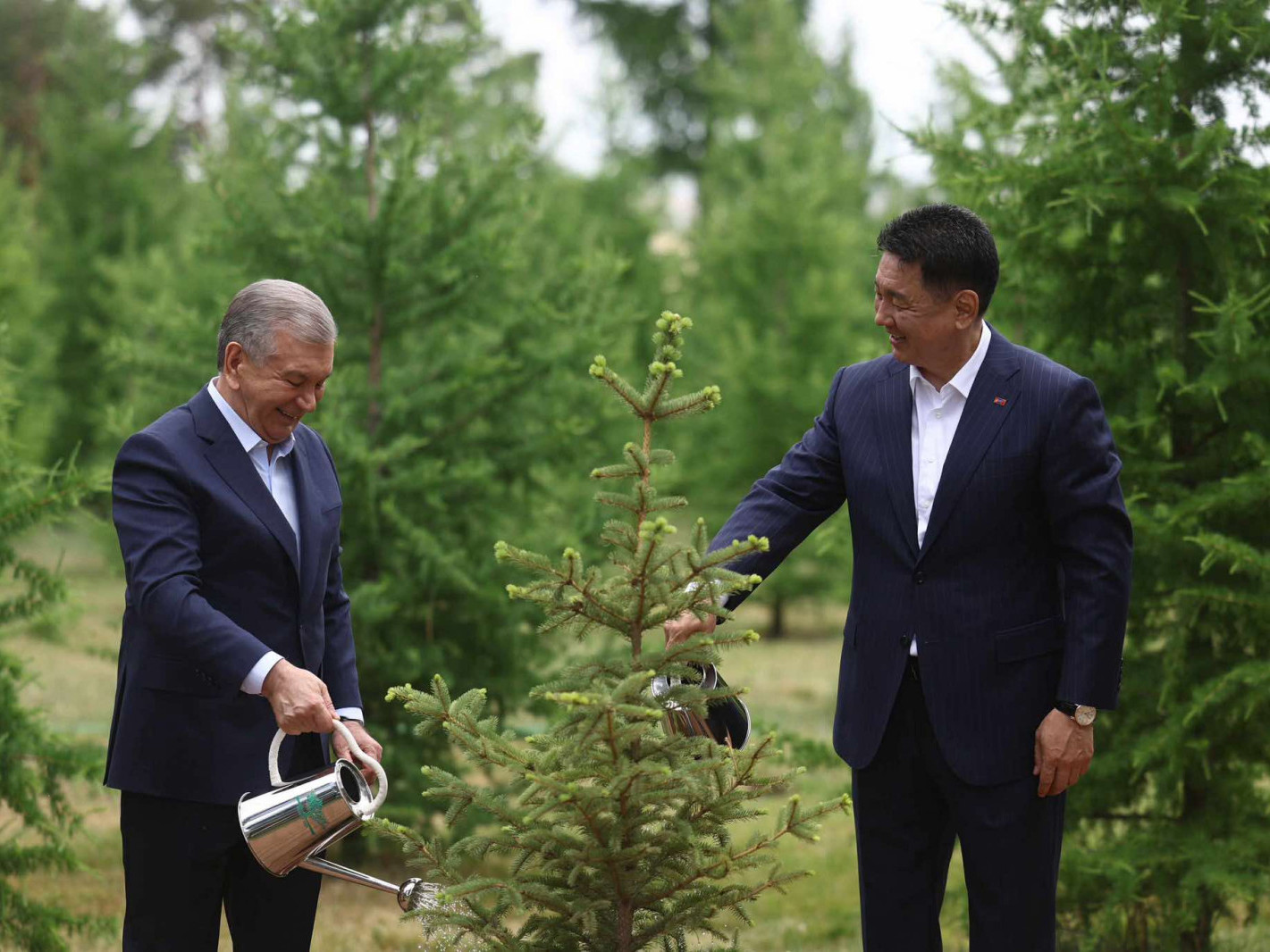 Ерөнхийлөгч У.Хүрэлсүх, Ш.Мирзиёев нар дурсгалын мод тарилаа
