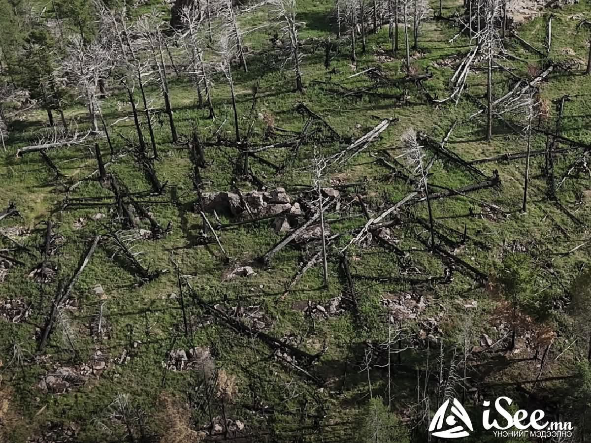 СУРВАЛЖИЛГА: Иргэдийн тусламжтай унтраасан Богд уулын Баруун ширээтэд гарсан түймрийн ул мөр одоо ч арилаагүй байна