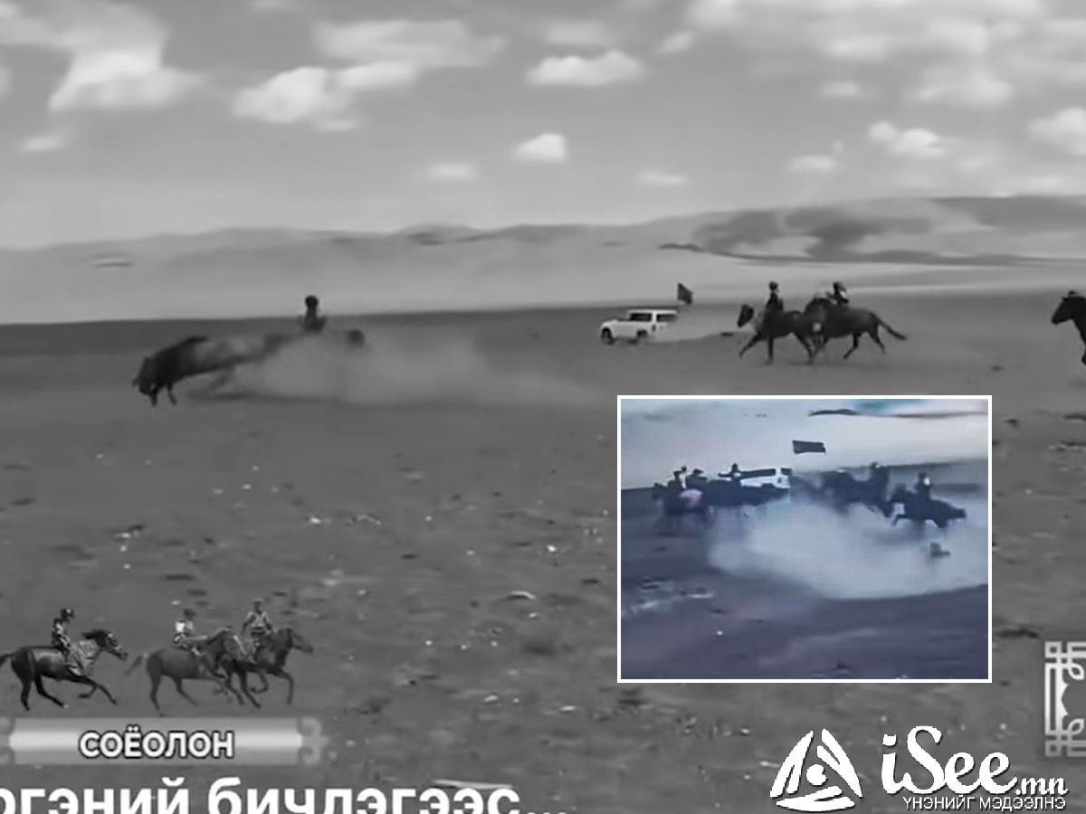 ВИДЕО: Тариалан сумын наадмын соёолонгийн уралдааны үеэр замын бартаанаас болж найман хүүхэд мориноосоо унажээ