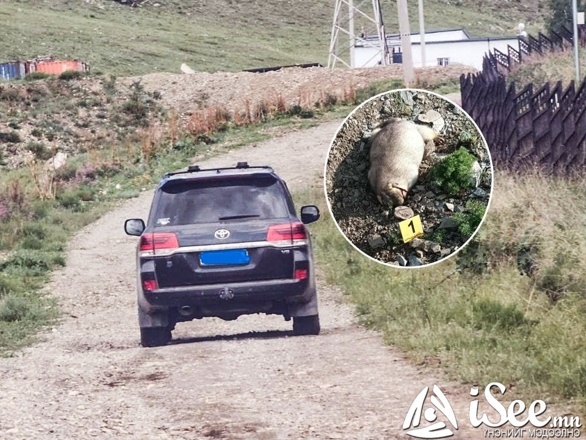 Богдхан ууланд тарвага агнасан байж болзошгүй "Ланд 200" маркийн автомашинтай иргэнийг одоогоор олоогүй, эрэн сурвалжлах ажиллагаа үргэлжилж байна