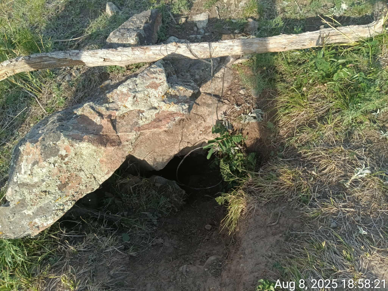 Богдхан ууланд тарвага агнахаар урхи тавьсан байсныг илрүүлжээ