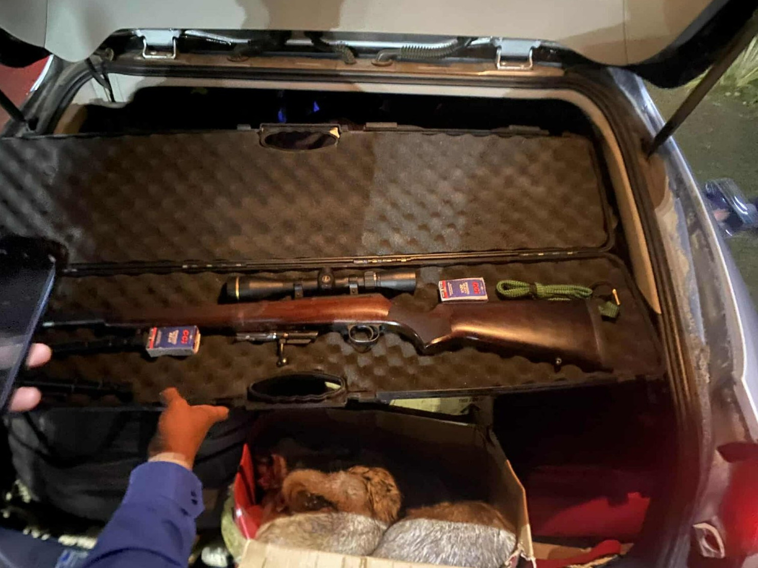 Тээврийн товчоод дээр 22 тарваганы мах хураан авч, мэргэжлийн байгууллагад хүлээлгэн өгчээ